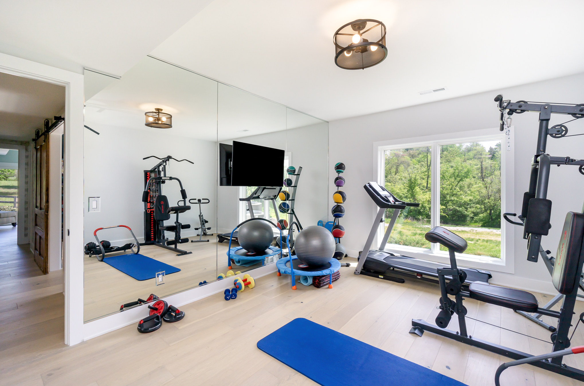 Lower Level Home Gym
