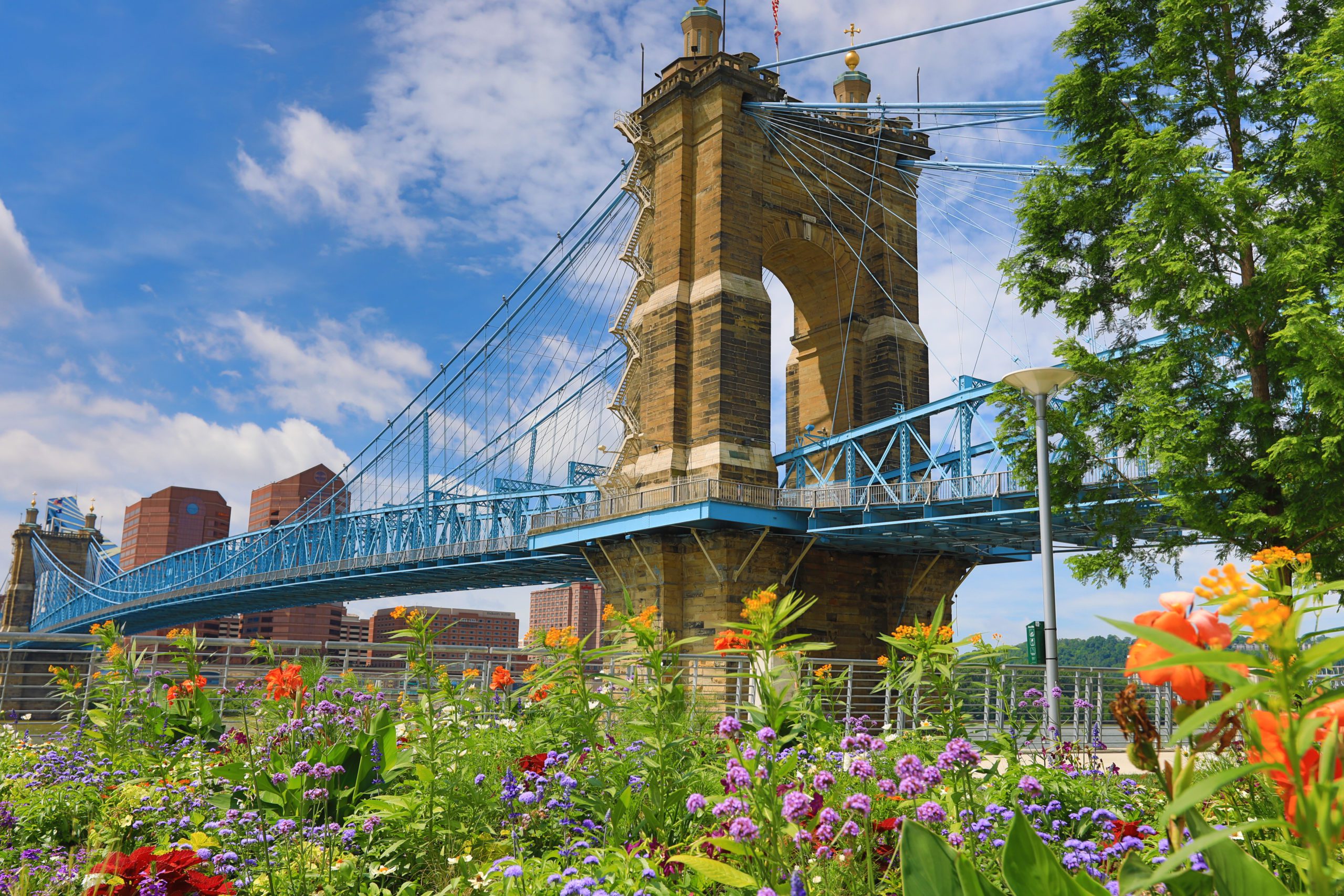The Roebling Bridge in Cincinnati
